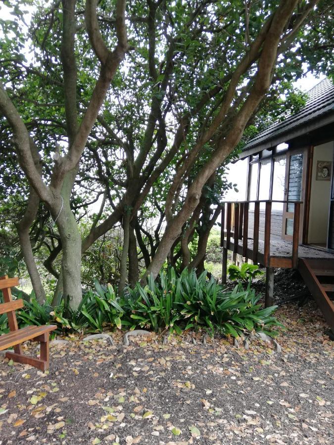 Вилла Casaplanca Eersterivierstrand Экстерьер фото